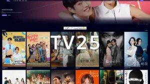 TV25 비바티비 대체 사이트 무료 TV 다시보기 tv25.co