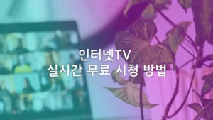 인터넷TV 실시간 무료 시청 방법 여러개