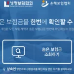 내보험찾아줌 조회 방법 및 휴면보험금 찾기